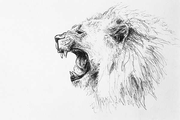 Ink of a lion.